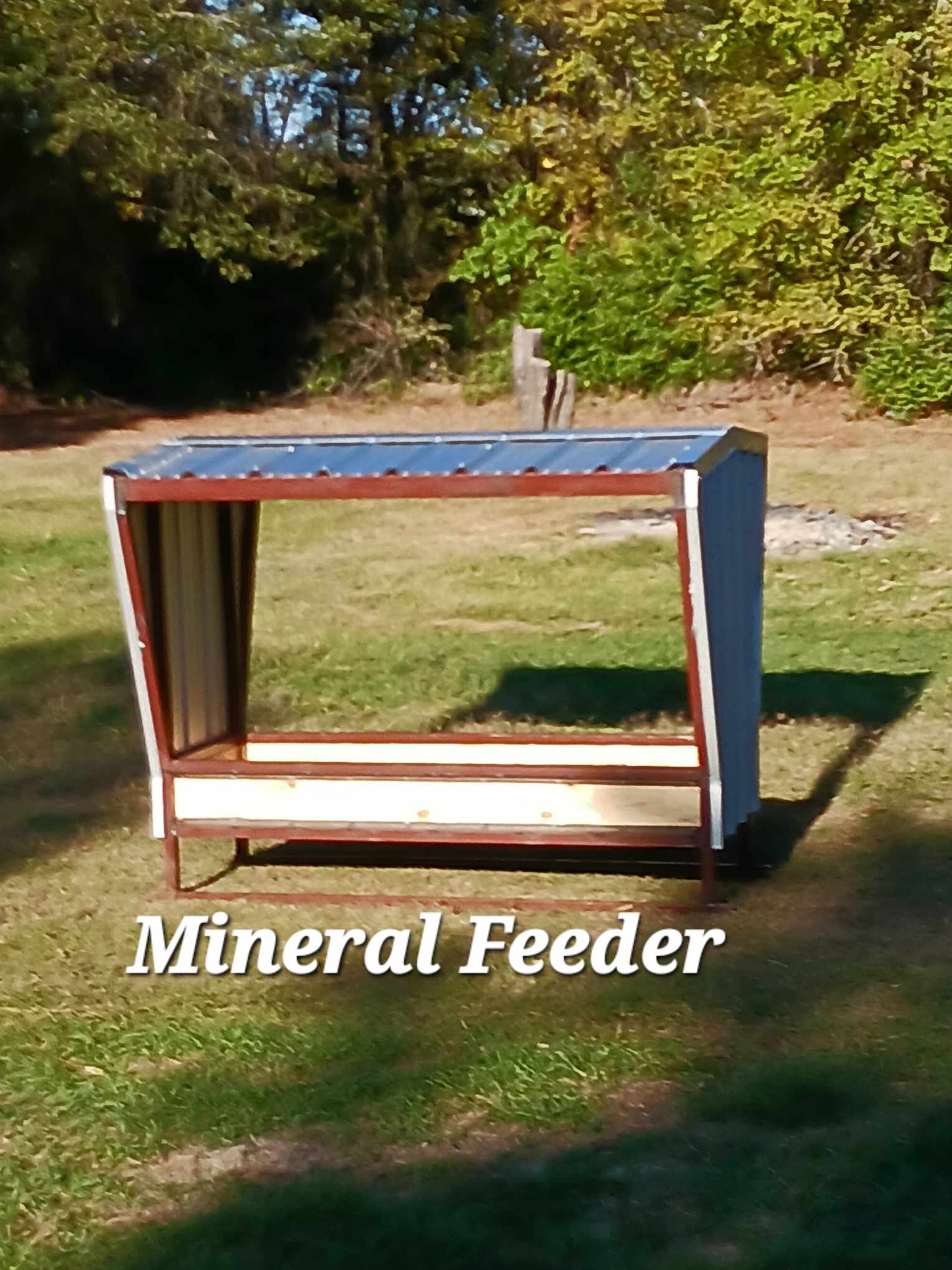 Mineral feeder